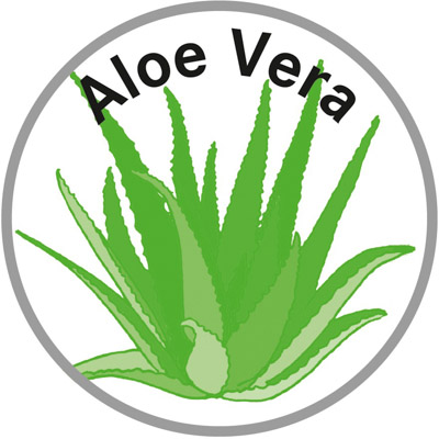 Aloe Vera Sokken